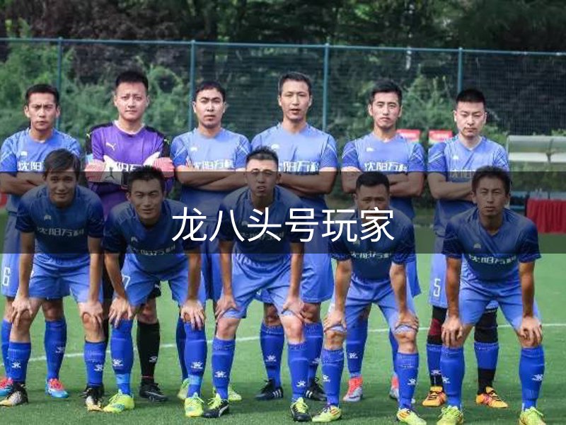 龙八头号玩家简介